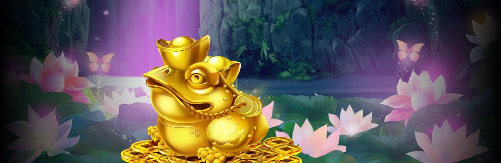 Gold Money Frog