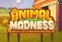 Animal Madness Slot Logo