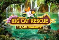 Big Cat Rescue Megaways Slot Logo