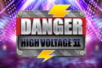 Danger High Voltage 2 Slot Logo